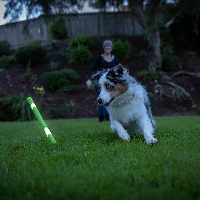Chuckit! Max Glow Ultra Fetch Stick Outdoor Dog Toy, 12 Inches - Image 6