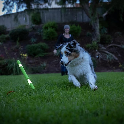 Chuckit! Max Glow Ultra Fetch Stick Outdoor Dog Toy, 12 Inches - Image 6