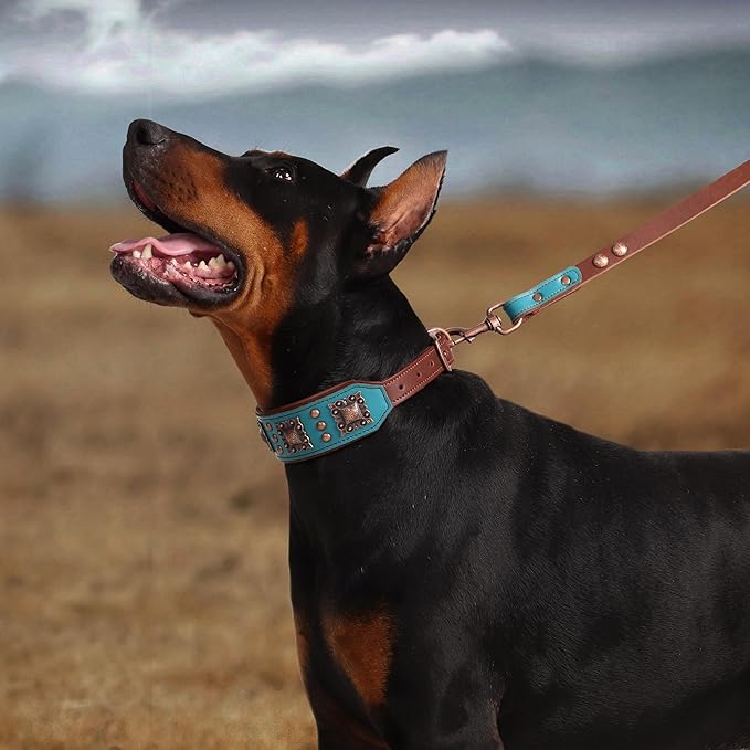 PET ARTIST Genuine Leather Dog Collar - Image 2