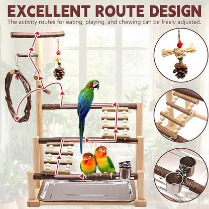 ‌Bird Playground, Natural Wooden Parrot Stand - Image 3