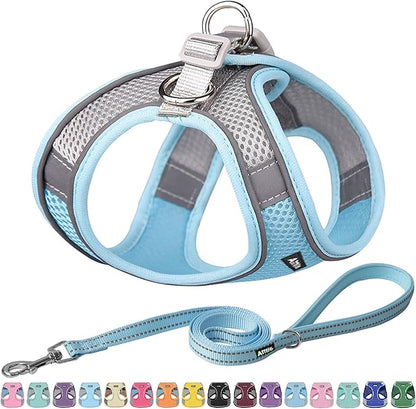 AIITLE Comfortable Dog Harness and Leash Set by AIITLE-FORPETSBETTERLIFE