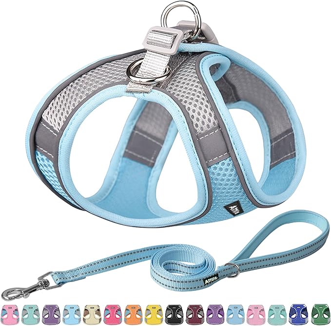 AIITLE Small Harness for Puppy by AIITLE-FORPETSBETTERLIFE