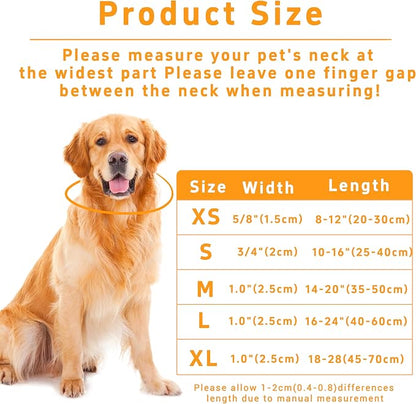 Dog Collar with Butterflies Print, Daisy Boys Girls Puppy Collar - Image 3