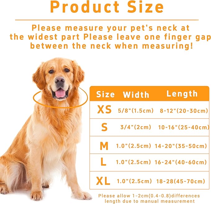 Dog Collar, Classical Birthday Gift Boys Girls Puppy Collar - Image 3