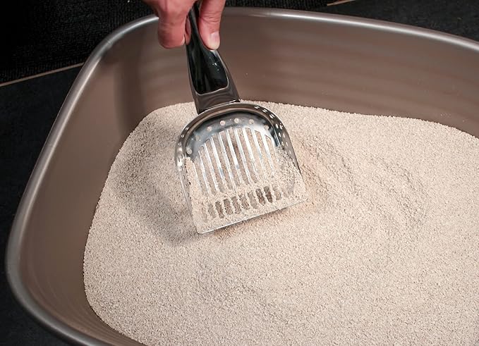 RSVP International Endurance Collection Stainless Steel Kitty Litter Scoop - Image 3