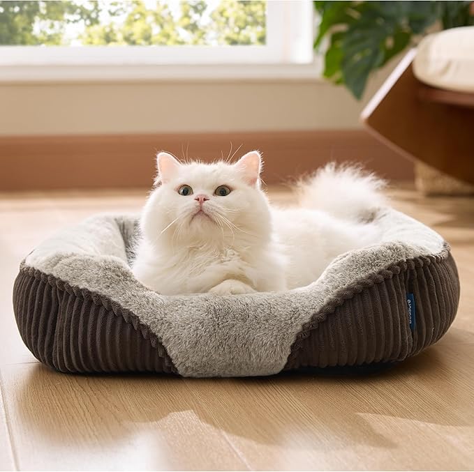 Bedsure Washable Dog Bed Small Dog＆Cat- Rectangle Fluffy Plush Kitten Puppy Bed by BEDSURE