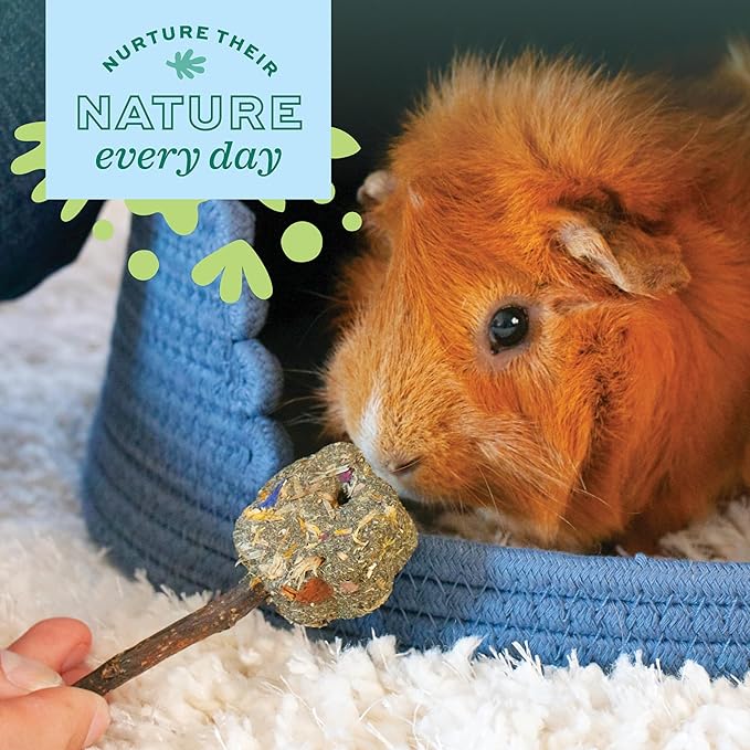 Oxbow Enriched Life Timothy Party Pack – Rabbit and Guinea Pig Toys, Chinchilla - Image 3