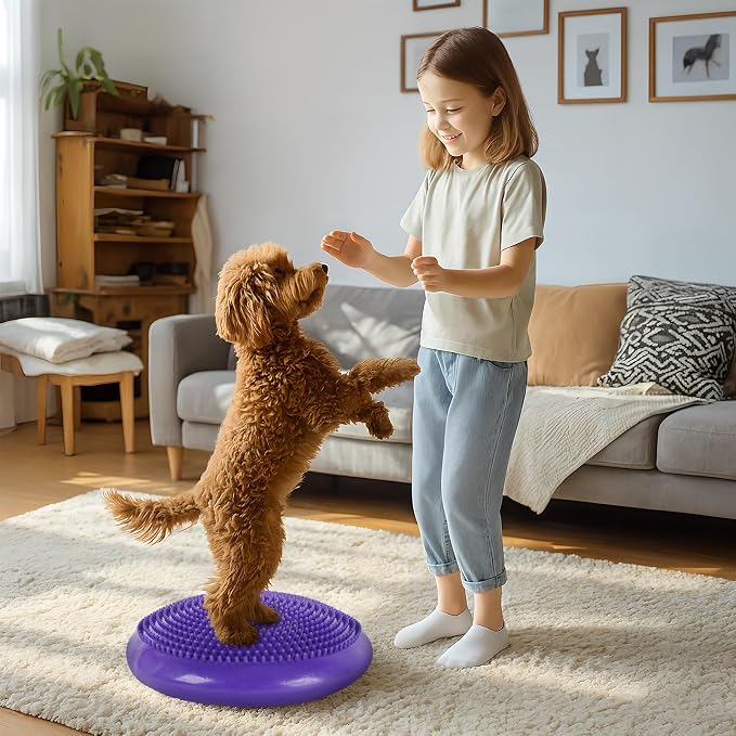 Dog Balance Disc 14", Dog Balance Equipment - Image 7