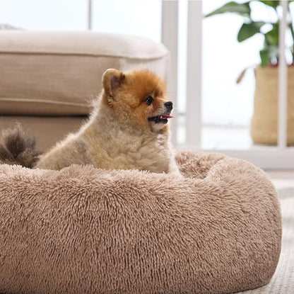Bedsure Calming Cat Beds for Indoor Cats - Image 7