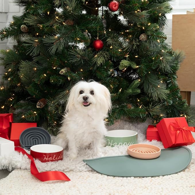 Should We Go - Waterproof Silicone Pet Food Mat - Non-Slip, Spill-Proof Feeding - Image 7