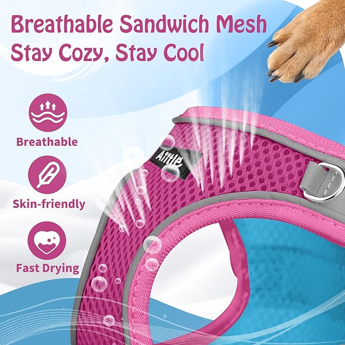 AIITLE Comfortable Dog Harness and Leash Set - Image 7