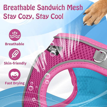 AIITLE Step in Dog Harness and Leash Set - Image 8