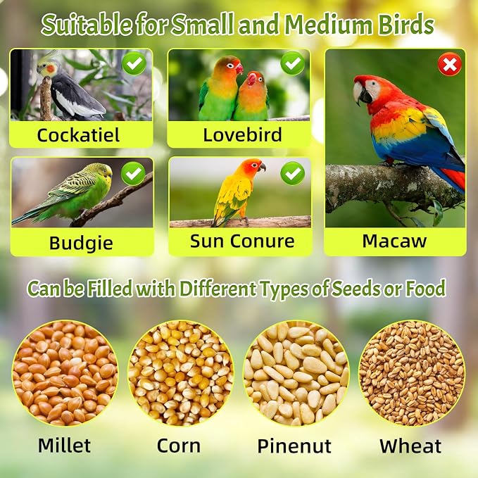 Rypet No Mess Automatic Bird Feeder - Image 5
