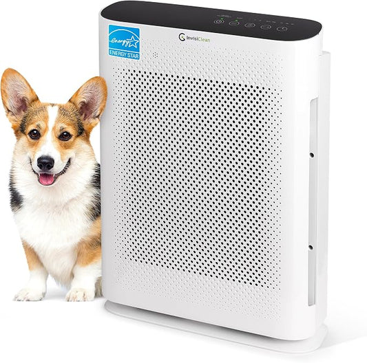 Air Purifier for Home Allergies & Pets | 4-in-1 H13 True HEPA by InvisiClean