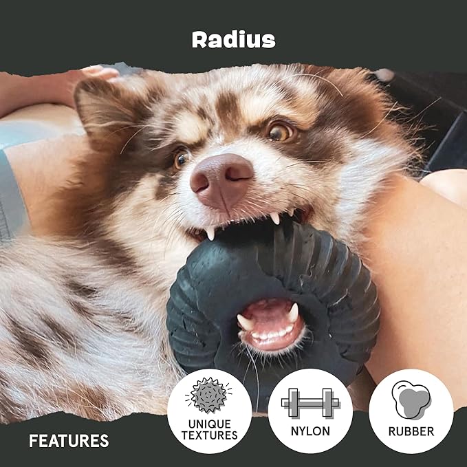 Barkbox Super Chewer Tough Dog Chew Toys - Image 4
