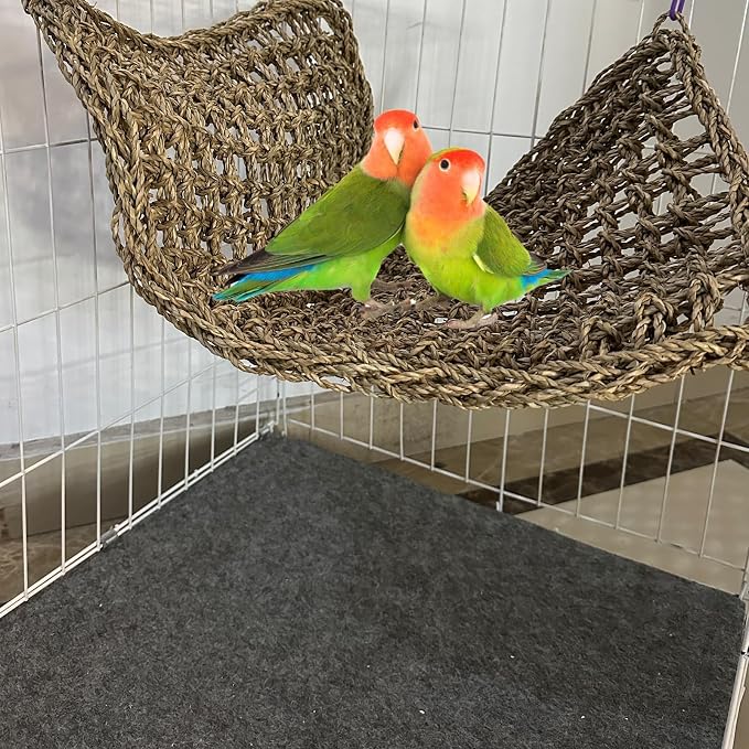 Large Bird Seagrass Mat 24 × 14 ''Natural Seagrass Woven Bird Net Hammock - Image 4