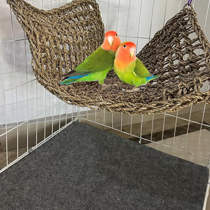 Large Bird Seagrass Mat 24 × 14 ''Natural Seagrass Woven Bird Net Hammock - Image 4