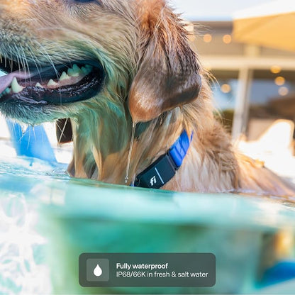New Fi Series 3+ Smart Dog Tracker Collar GPS Tracker - Image 2