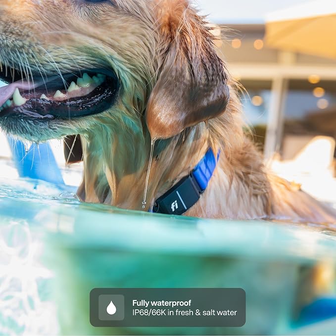 New Fi Series 3+ Smart Dog Tracker Collar GPS Tracker - Image 2