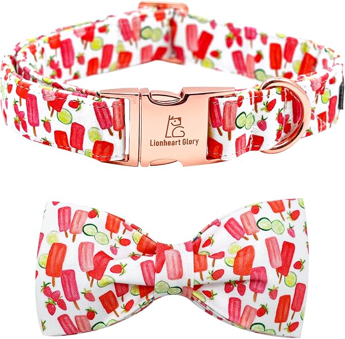 Lionheart glory Dog Collar, Dog Collar by LionheartGlory