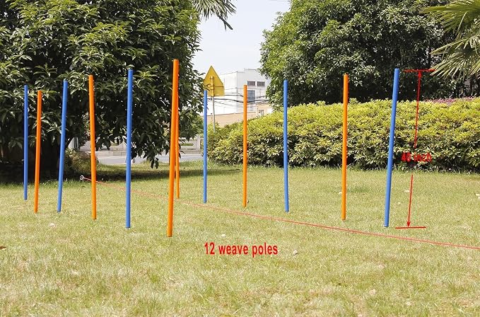 PAWISE Dog Agility Training Equipment, 12 Weave Poles - Image 7