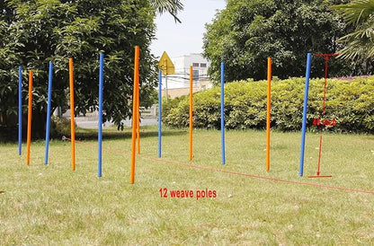 PAWISE Dog Agility Training Equipment, 12 Weave Poles - Image 7