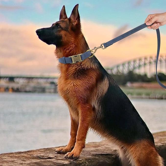 Didog Soft PU Leather Dog Collar, Stylish Quick Released Dog Collar - Image 3