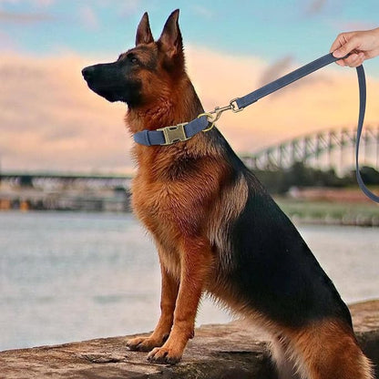 Didog Soft PU Leather Dog Collar, Stylish Quick Released Dog Collar - Image 3