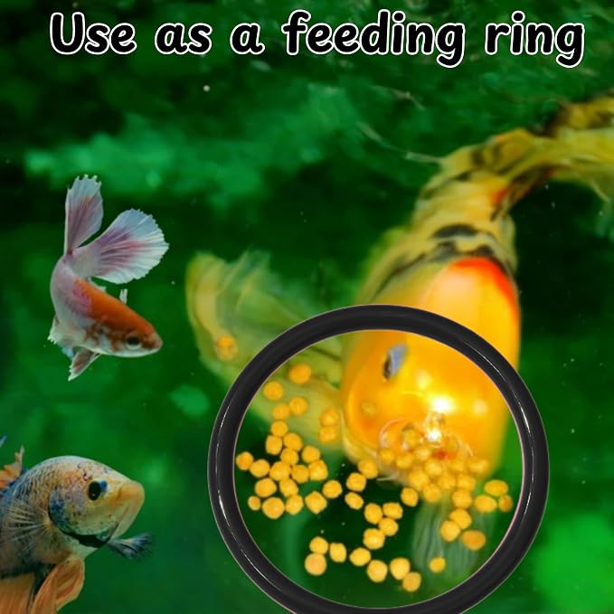 Betta Ring and Mirror Toy for Aquarium, Floating Exercise Mirrors for Fish Tank - Image 5