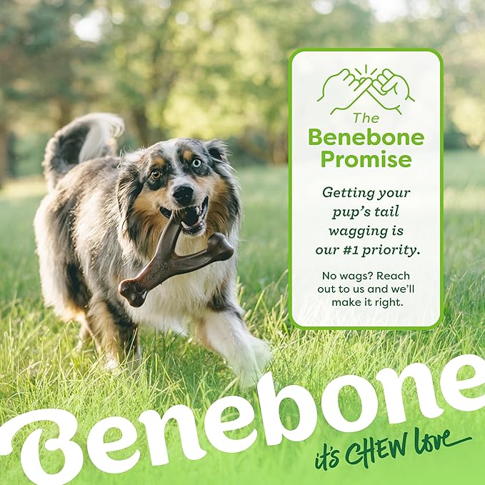 Benebone Wishbone Durable Dog Chew Toy - Image 6