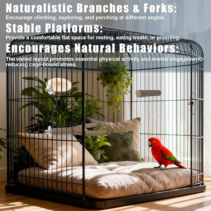 6 PCS Bird Perch Set, Natural Birch Wood Straight & Forked Perches - Image 4