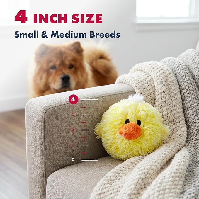 Pet Lou DOG'Z 4 Inch EZ Squeaky Chick Dog Plush Toy, Stuffing-Free Soft Plush - Image 4