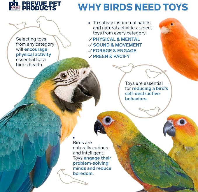 Prevue Pet Products Sound & Movement Mr. Mustache Bird Toy 62614 - Image 6