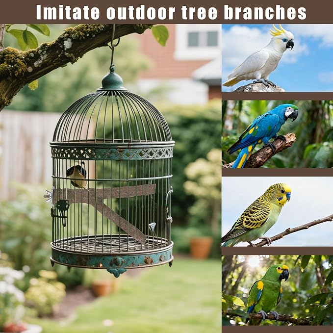 6 PCS Bird Perch Set, Natural Birch Wood Straight & Forked Perches - Image 9
