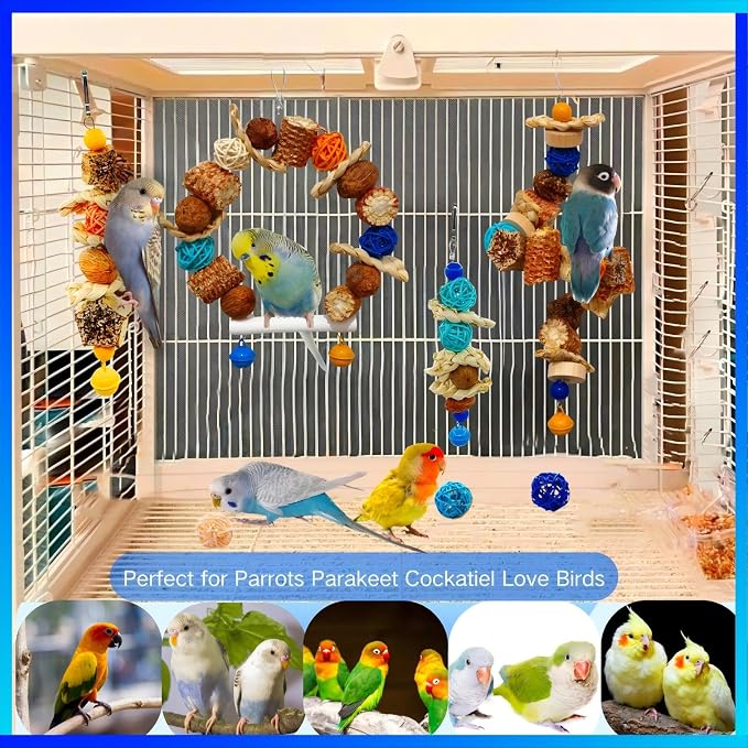 Parakeet Swing Toys, Bird Cage Hanging Chewing Toys, Natural Bird Parrot Toys - Image 5