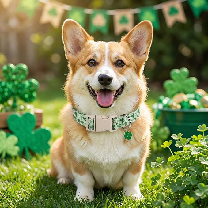 XS Dog Collar for St. Patrick's Day, Cute Dog Collar - Image 4