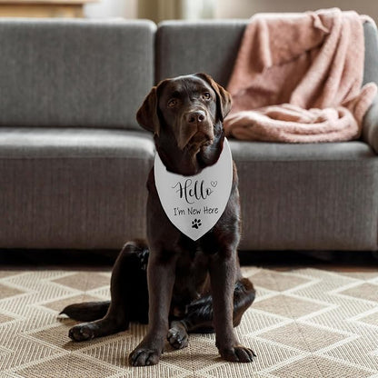 Hello I'm New Here Dog Bandana, New Puppy Reveal Party Photo Prop, Cute New - Image 3