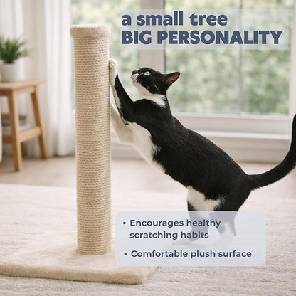 Trixie Parla Cat Scratching Post 24.4 Inch - Image 2