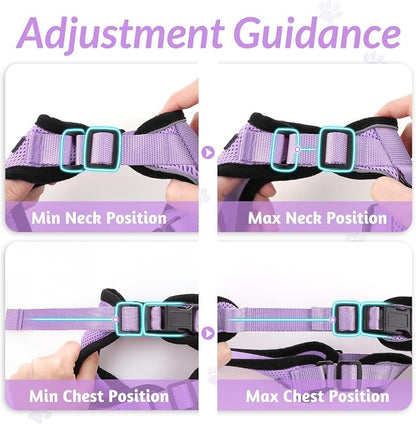 rabbitgoo Cat Harness and Leash - Image 8
