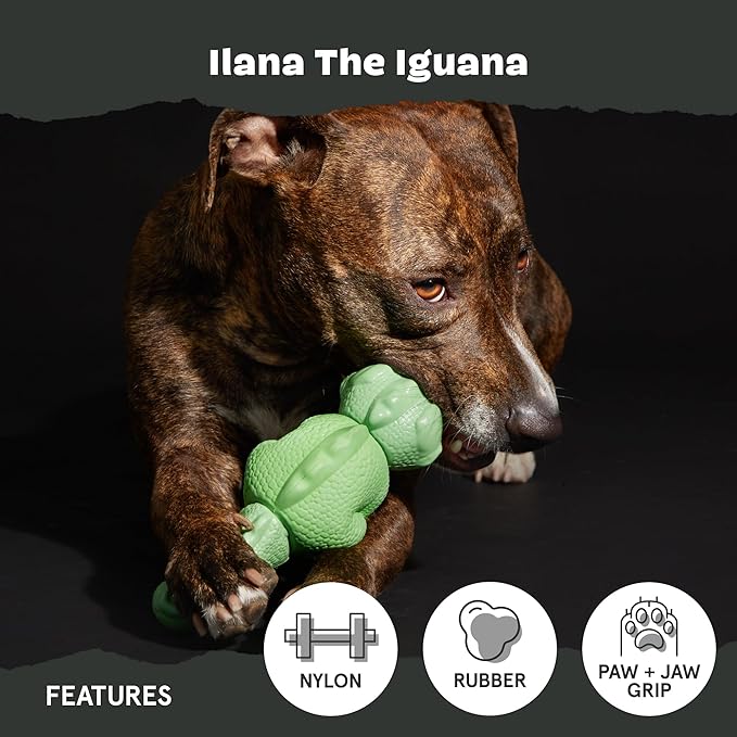 Barkbox Super Chewer Tough Dog Chew Toys - Image 4