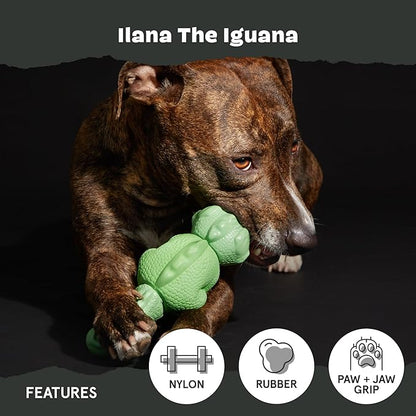 Barkbox Super Chewer Tough Dog Chew Toys - Image 4