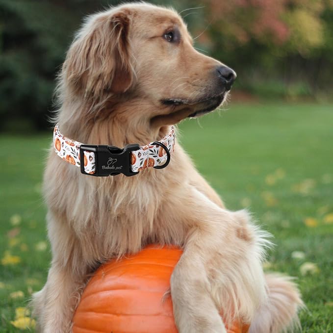 Fall Dog Collar, Cute Orange Pumpkin Pattern Puppy Collar, Soft Comfort - Image 2