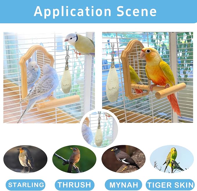 Jmxu's 3.5"-4" Cuttlebone for Birds Parakeets, Cuddle Bone - Image 4