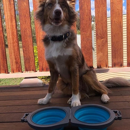 Loving Pets 73807992: Travel Double Diner Dog Bowl - Image 7