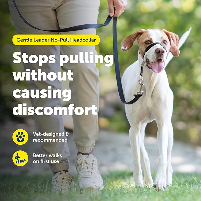 PetSafe Gentle Leader Headcollar No-Pull Dog Collar - Image 2