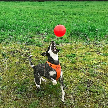 Jolly Pets Bounce-n-Play Dog Toy Ball, 4.5 Inches/Small, Model Number: 2545 OR - Image 3