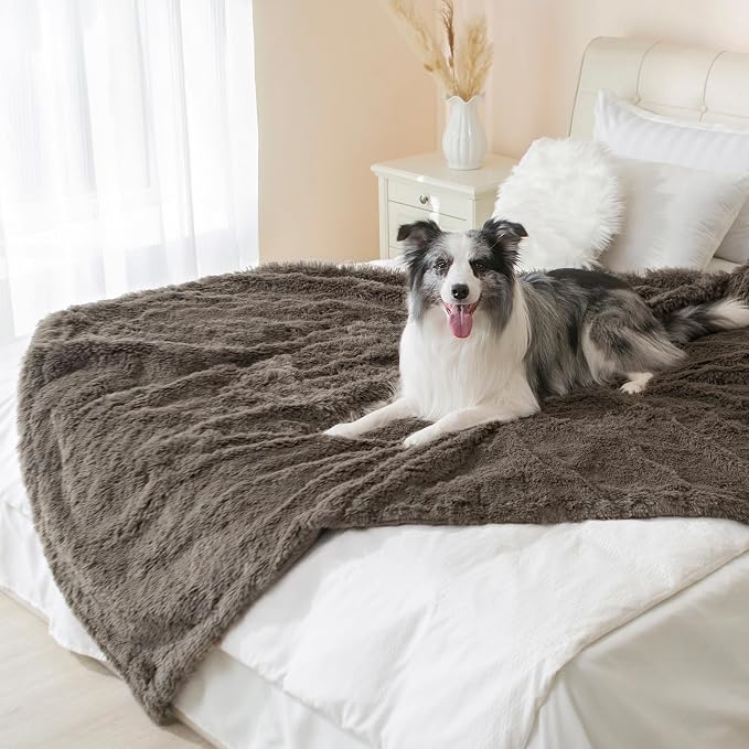 gogobunny Waterproof Dog Blanket - Image 4