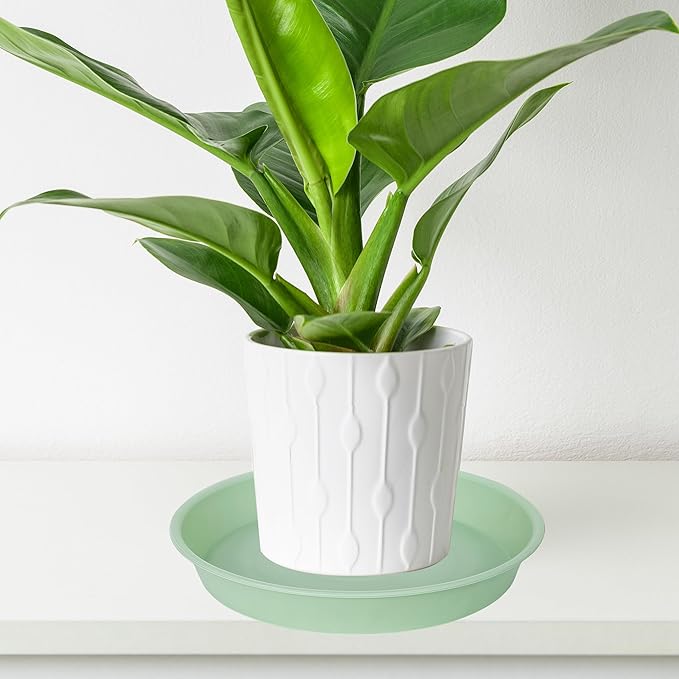 6 Pack of 8 inch Plant Saucer Blue, Plastic Plant Water Tray 8 inch Round - Image 5