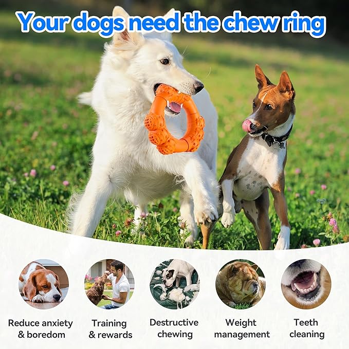 Indestructible Dog Chew Ring Toys - Image 5