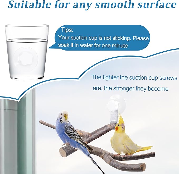 Bird Perch with Suction Cup Window Wall Bath Car Outdoor Travel Perch Stand - Image 6